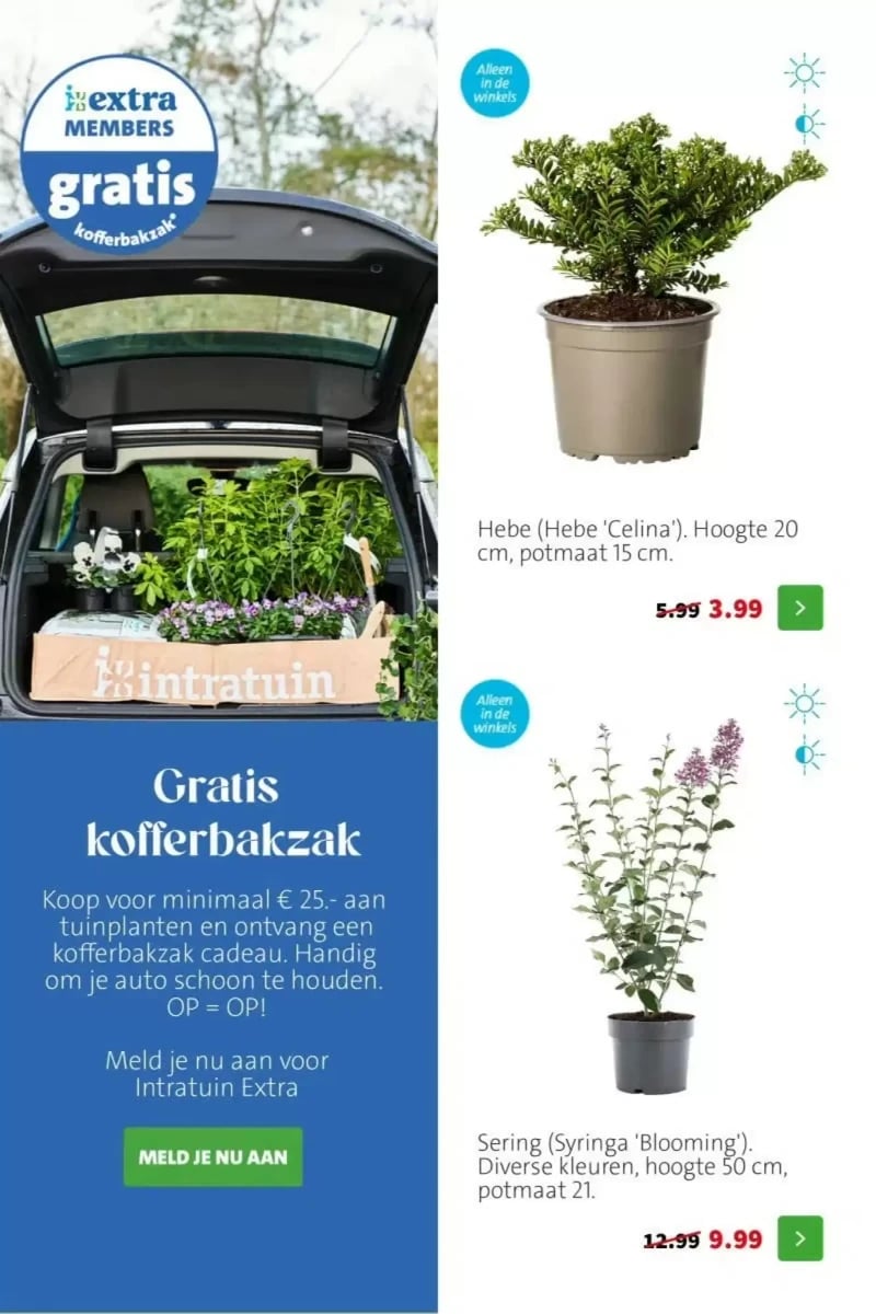 Intratuin folder – pagina 6
