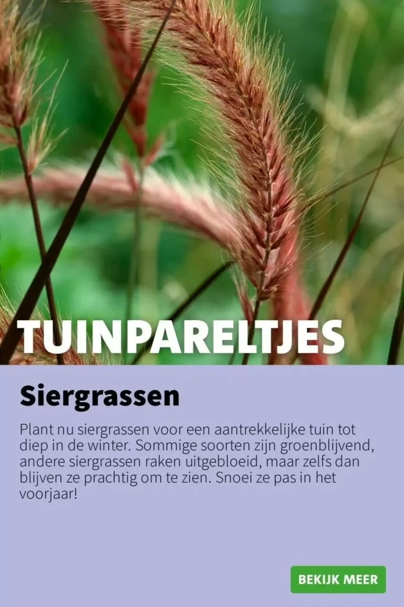 Intratuin folder – pagina 6