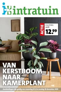 Intratuin Folder – 22.12.2025 – 28.12.2025