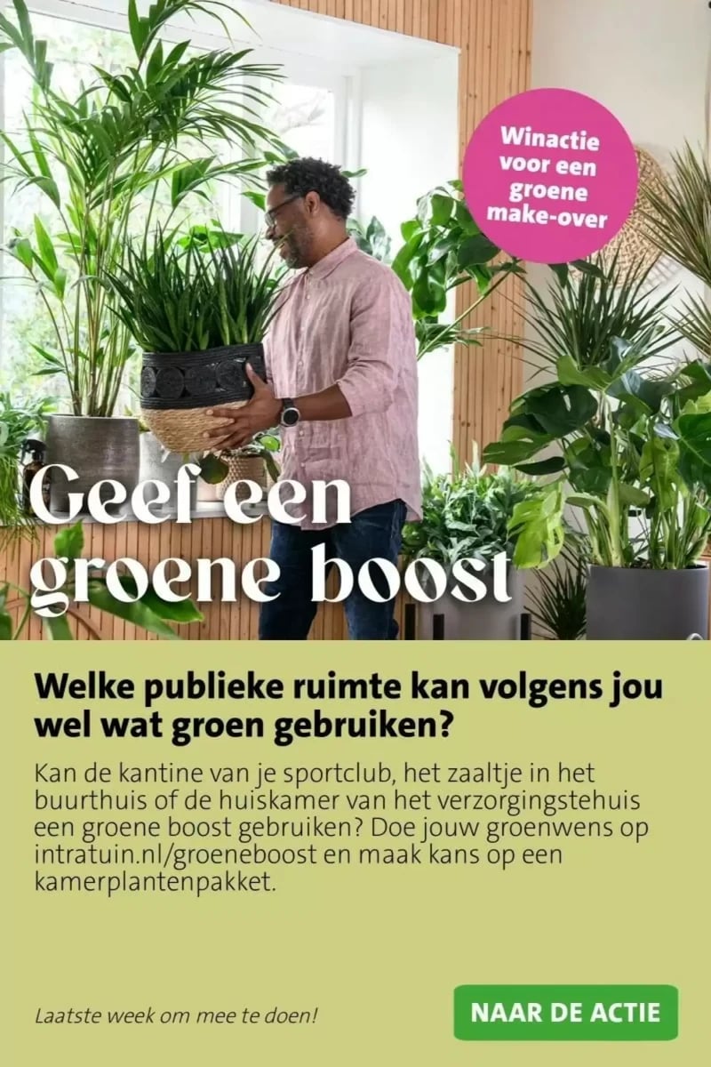 Intratuin folder – pagina 9