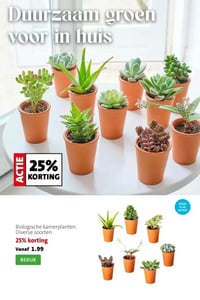Biologische kamerplanten. Diverse soorten. aanbieding bij Intratuin – geldig van 23.02.2026 t/m 01.03.2026