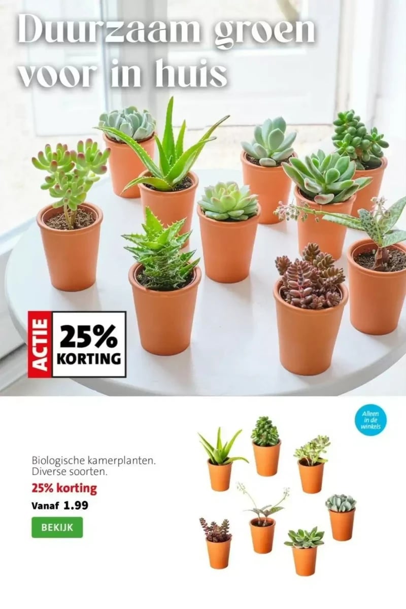 Intratuin folder – pagina 3