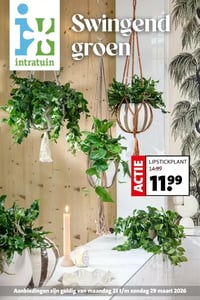 LIPSTICKPLANT aanbieding bij Intratuin – geldig van 23.03.2026 t/m 29.03.2026