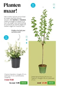 Diverse heesters. Hoogte 20 cm, potmaat 17 cm. Combinaties mogelijk. aanbieding bij Intratuin – geldig van 23.03.2026 t/m 29.03.2026