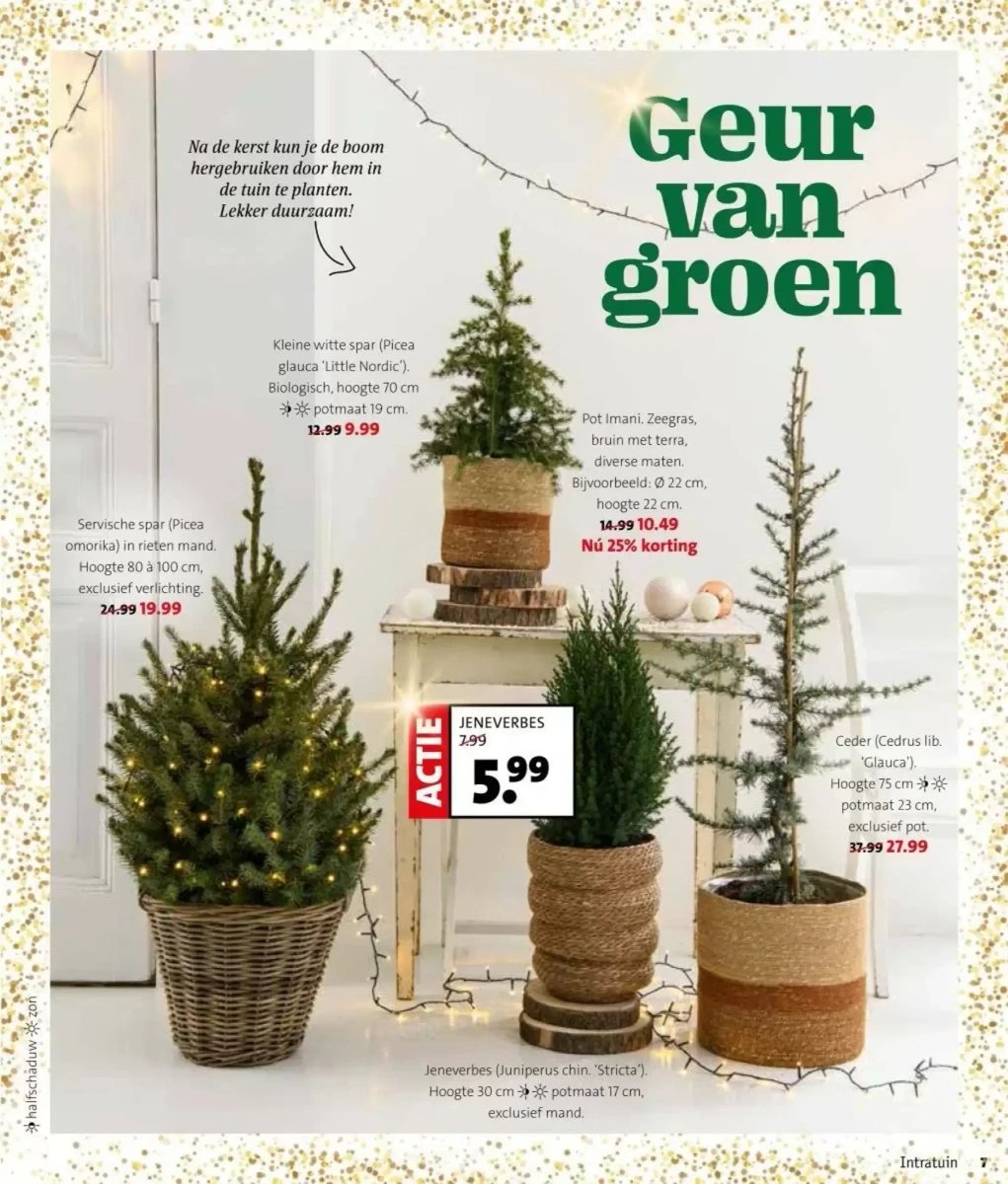 Intratuin folder – pagina 7