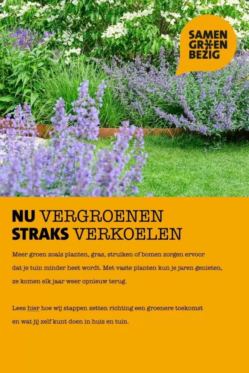 Intratuin folder – pagina 5