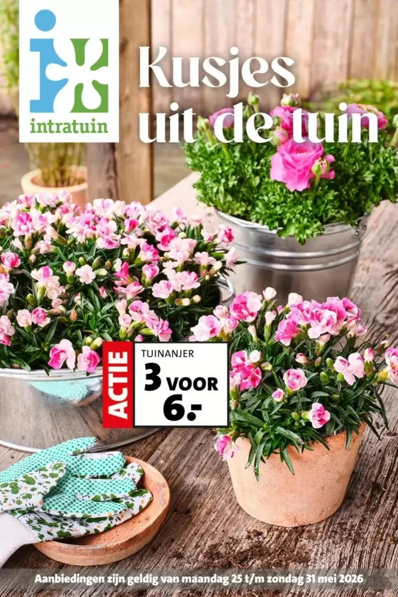 Intratuin folder – pagina 1