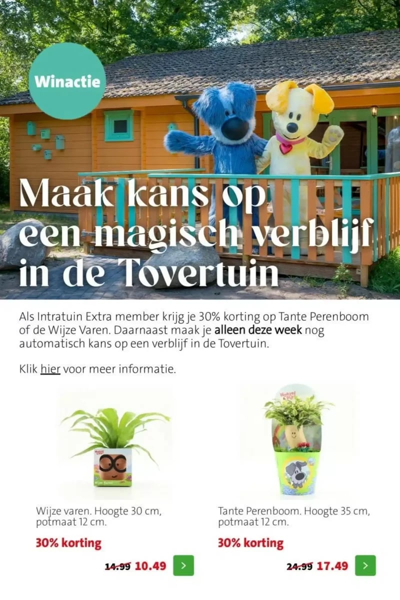 Intratuin folder – pagina 6