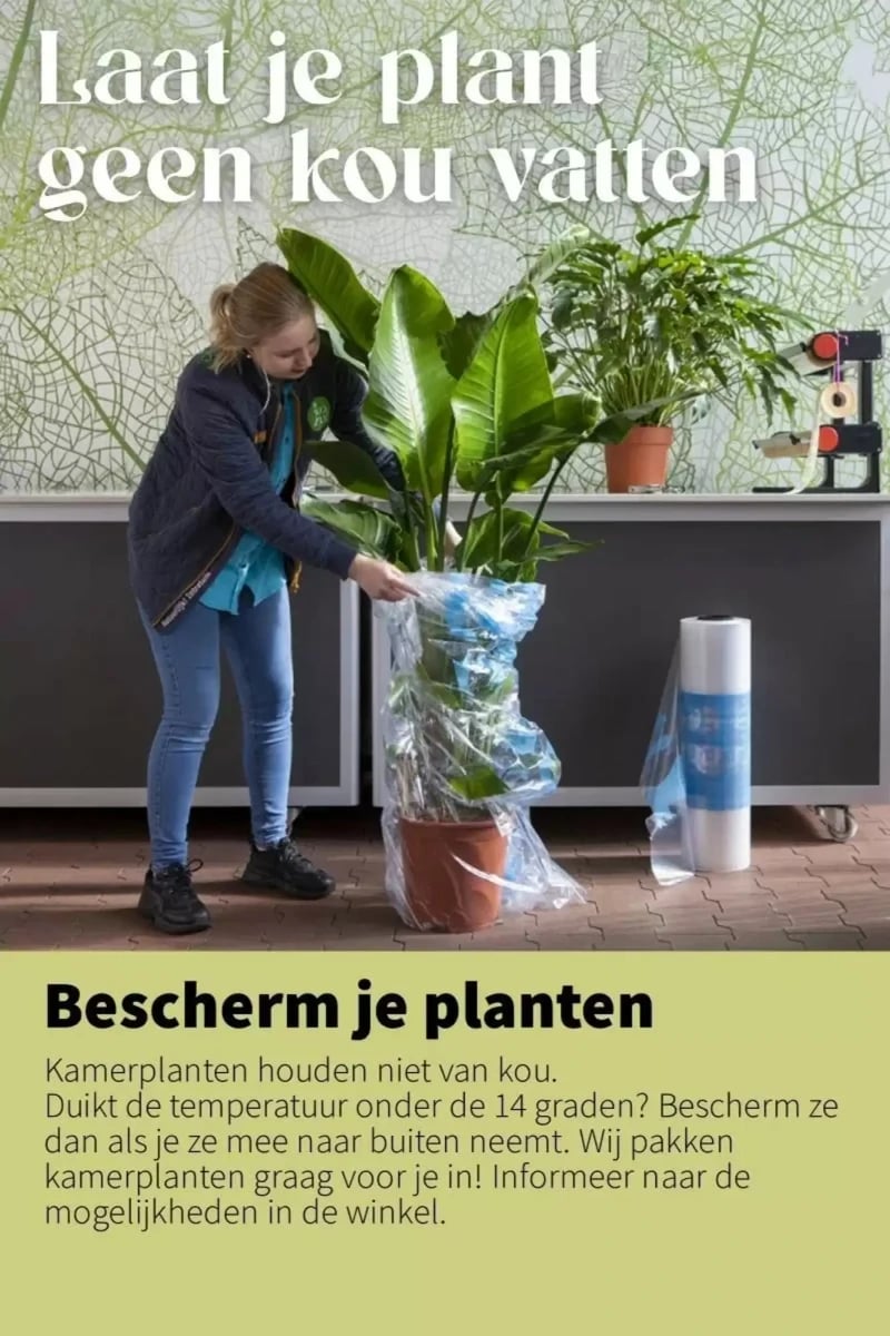 Intratuin folder – pagina 7