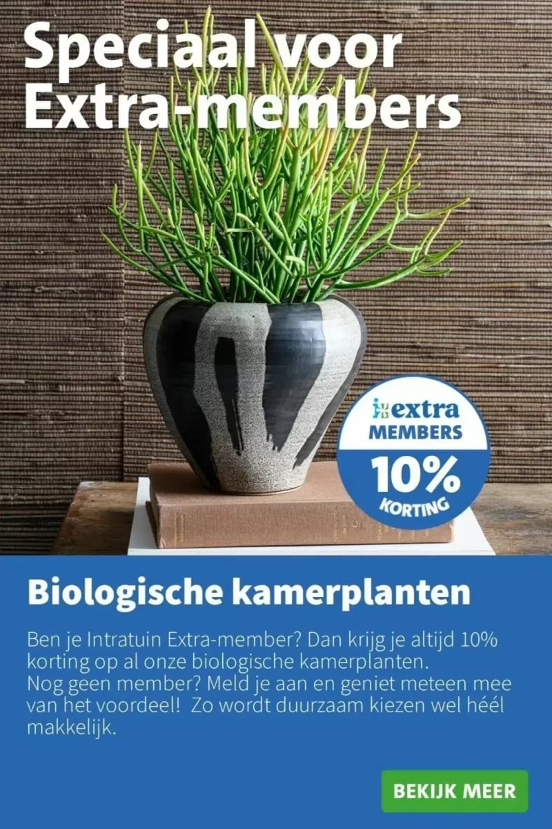 Intratuin folder – pagina 12