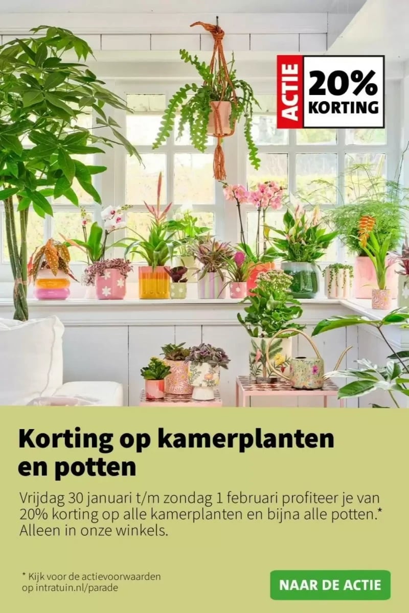 Intratuin folder – pagina 4