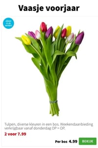 Tulpen, diverse kleuren in een bos. aanbieding bij Intratuin – geldig van 26.01.2026 t/m 01.02.2026