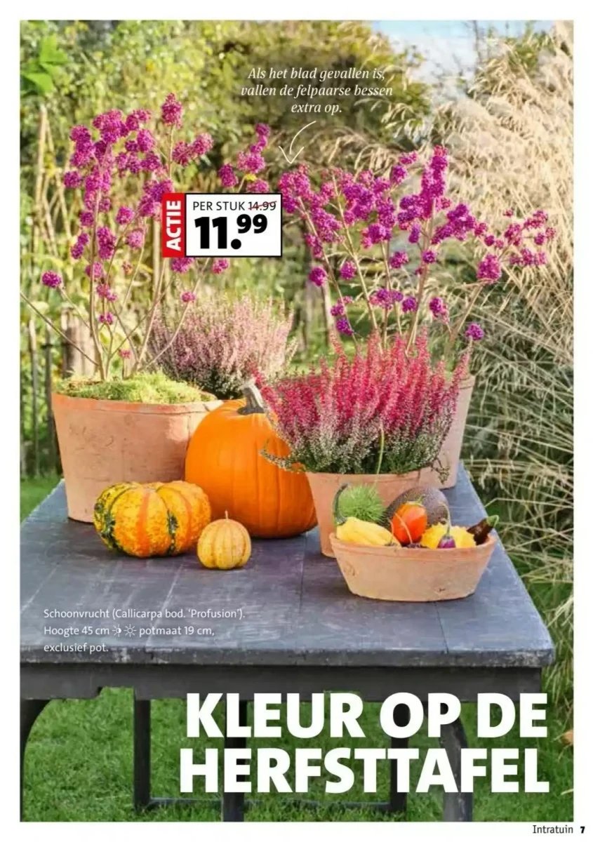 Intratuin folder – pagina 7