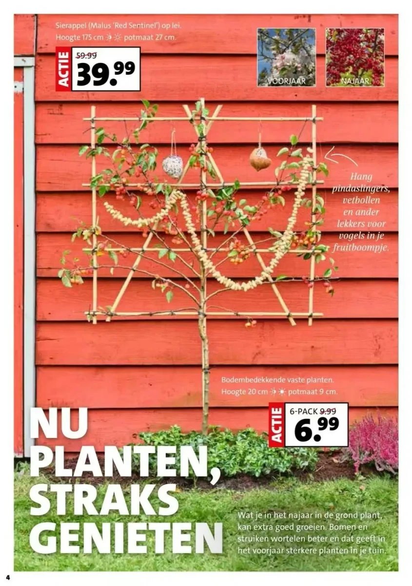 Intratuin folder – pagina 4