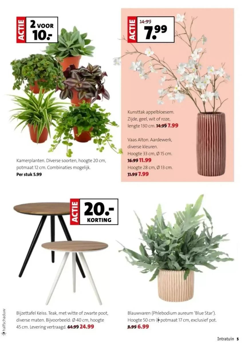 Intratuin folder – pagina 5
