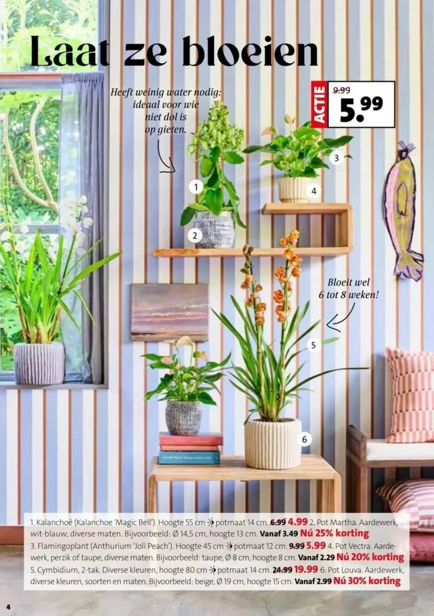 Intratuin folder – pagina 4