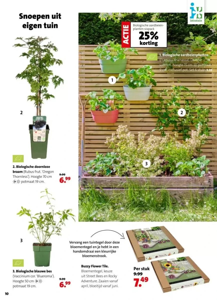 Intratuin folder – pagina 10