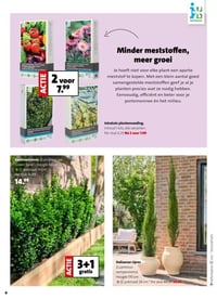 Italiaanse cipres (Cupressus sempervirens) aanbieding bij Intratuin – geldig van 30.03.2026 t/m 05.04.2026