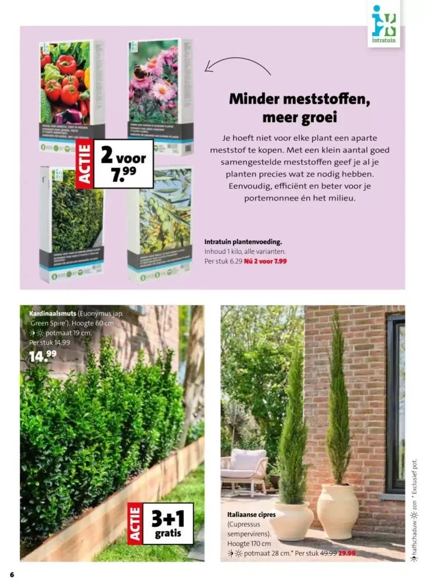 Intratuin folder – pagina 6