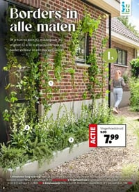 Vingerhoedskruid aanbieding bij Intratuin – geldig van 30.03.2026 t/m 05.04.2026