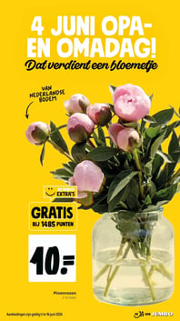 Pioenrozen aanbieding bij Jumbo – geldig van 03.06.2026 t/m 16.06.2026