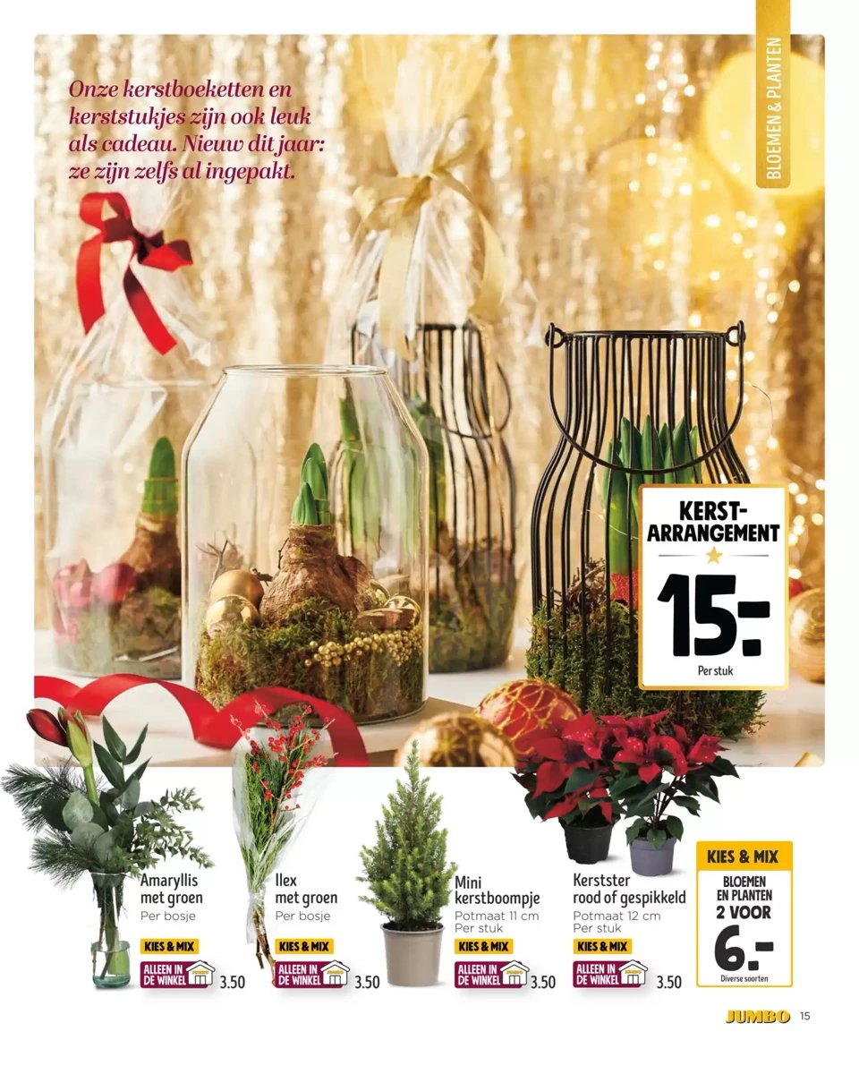 Jumbo folder – pagina 15