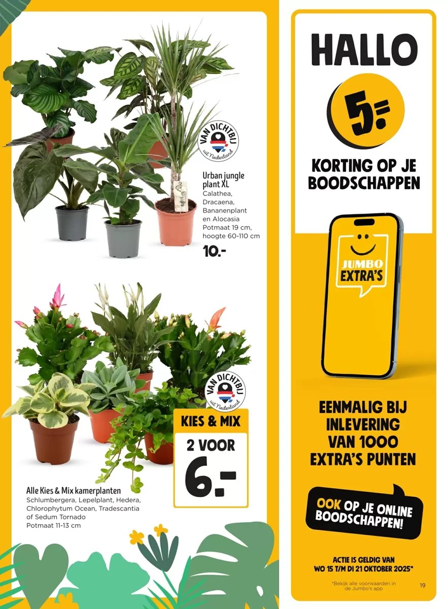 Jumbo folder – pagina 17