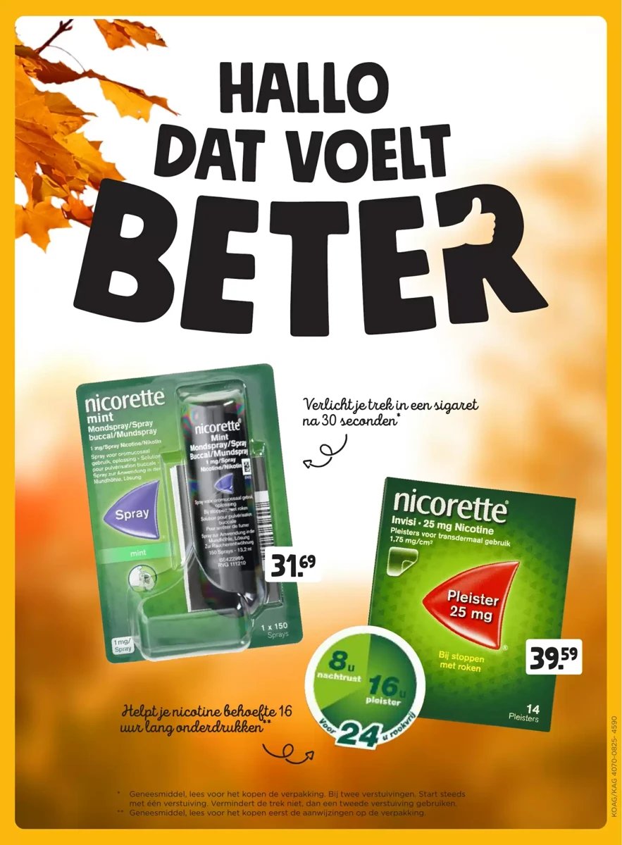 Jumbo folder – pagina 11
