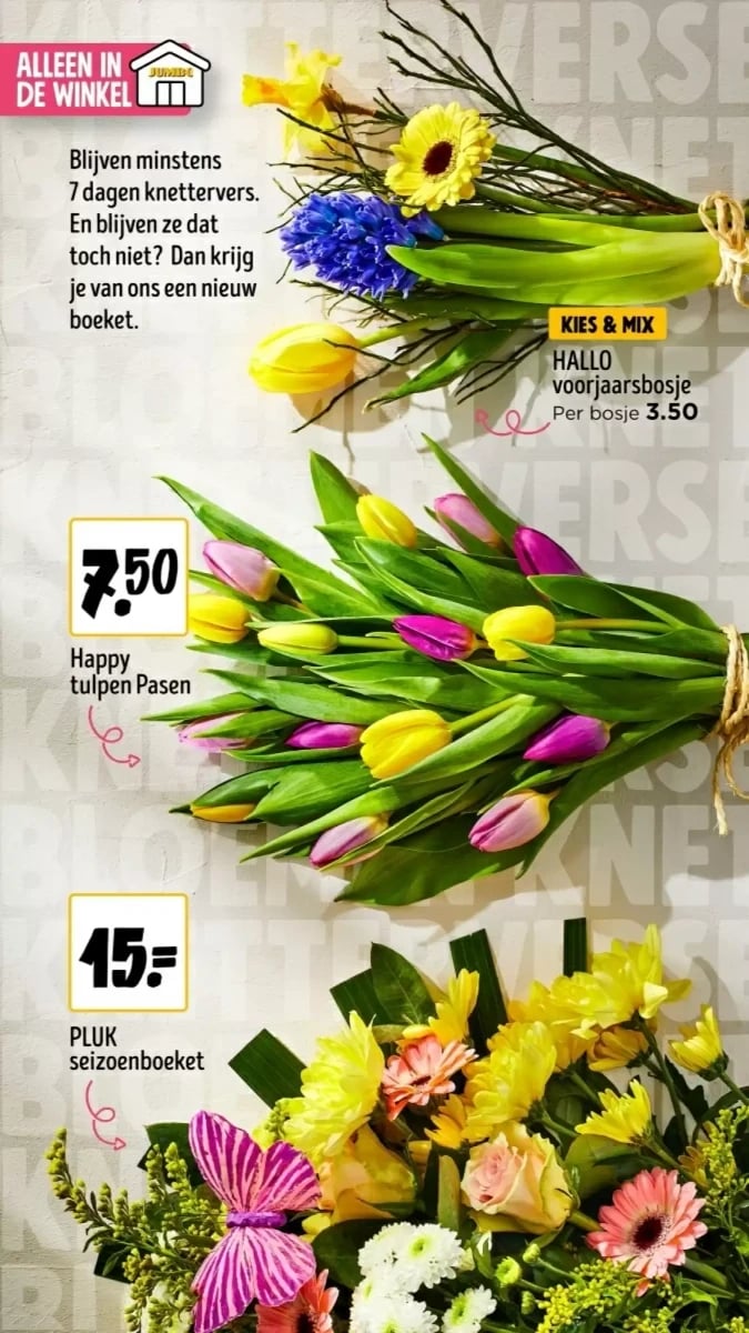Jumbo folder – pagina 36