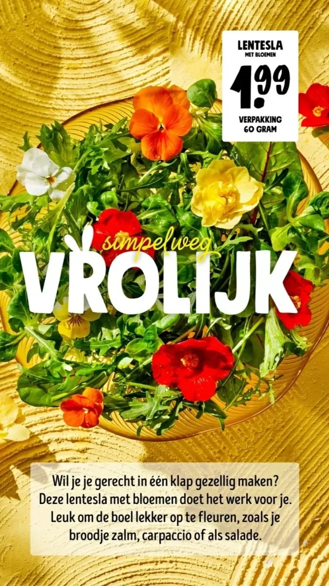 Jumbo folder – pagina 49