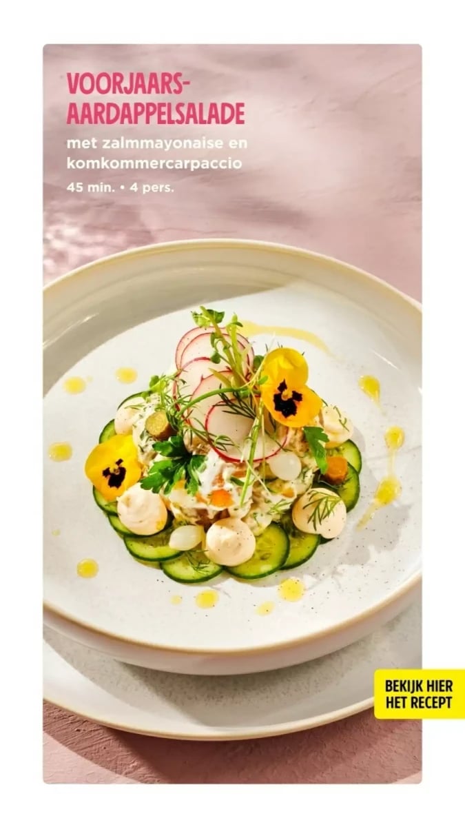 Jumbo folder – pagina 47