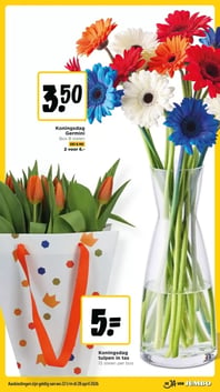 Koningsdag Germini Bos 8 stelen aanbieding bij Jumbo – geldig van 22.04.2026 t/m 28.04.2026