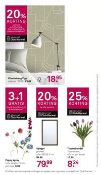 Poppy spray aanbieding bij Karwei – geldig van 20.04.2026 t/m 26.04.2026