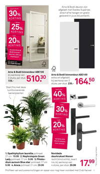 Nephrolepsis Green Lady aanbieding bij Karwei – geldig van 26.01.2026 t/m 01.02.2026