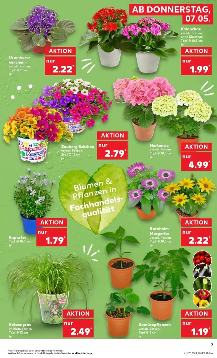 Kaufland folder – pagina 7