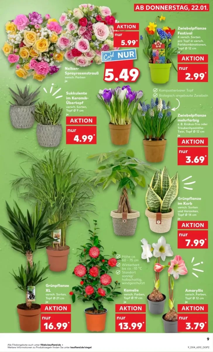 Kaufland folder – pagina 9