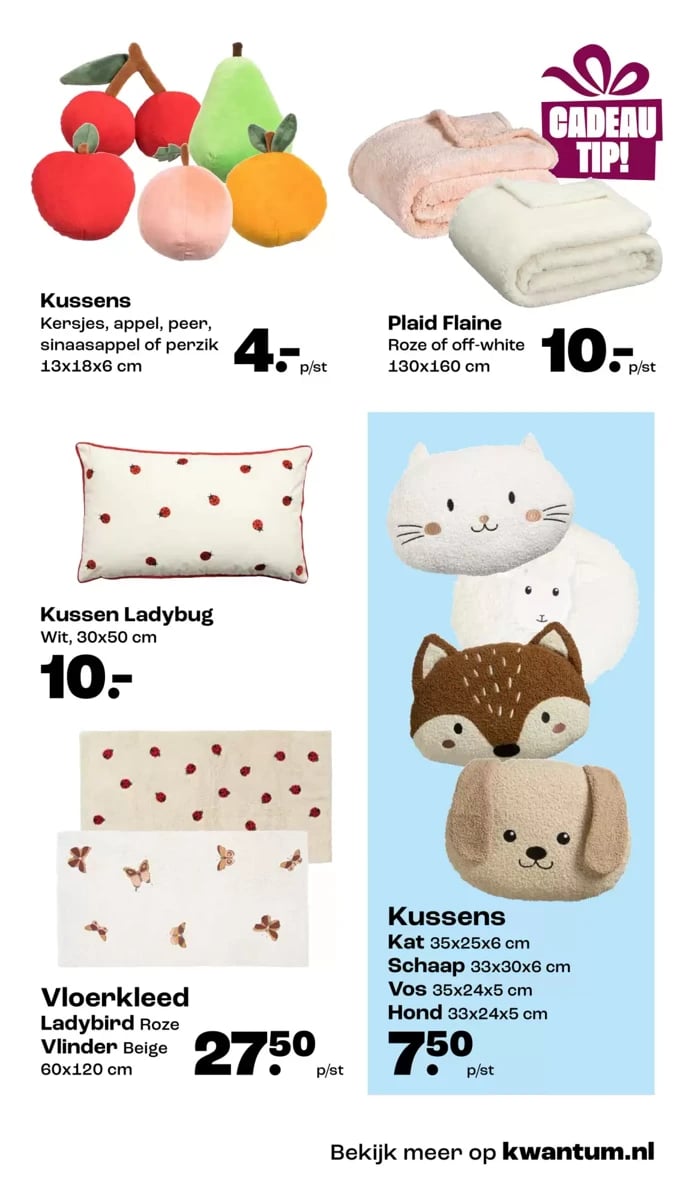 Kwantum folder – pagina 11