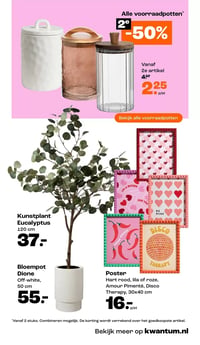 Kunstplant Eucalyptus aanbieding bij Kwantum – geldig van 16.02.2026 t/m 01.03.2026