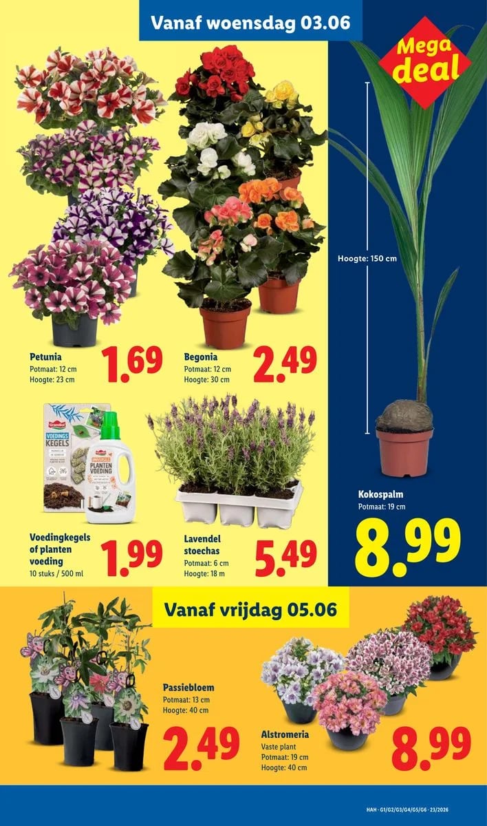 Lidl folder – pagina 25