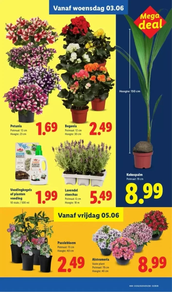 Lidl folder – pagina 24