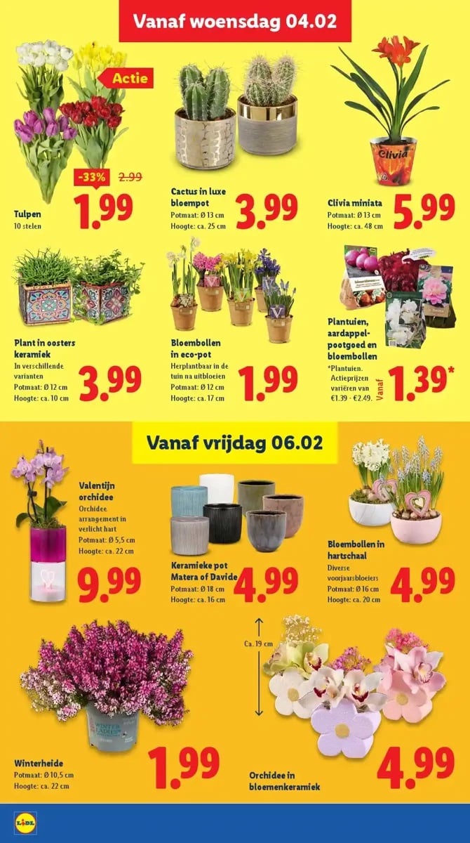 Lidl folder – pagina 17