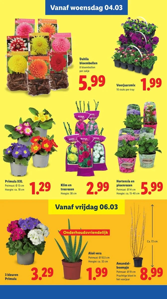 Lidl folder – pagina 24
