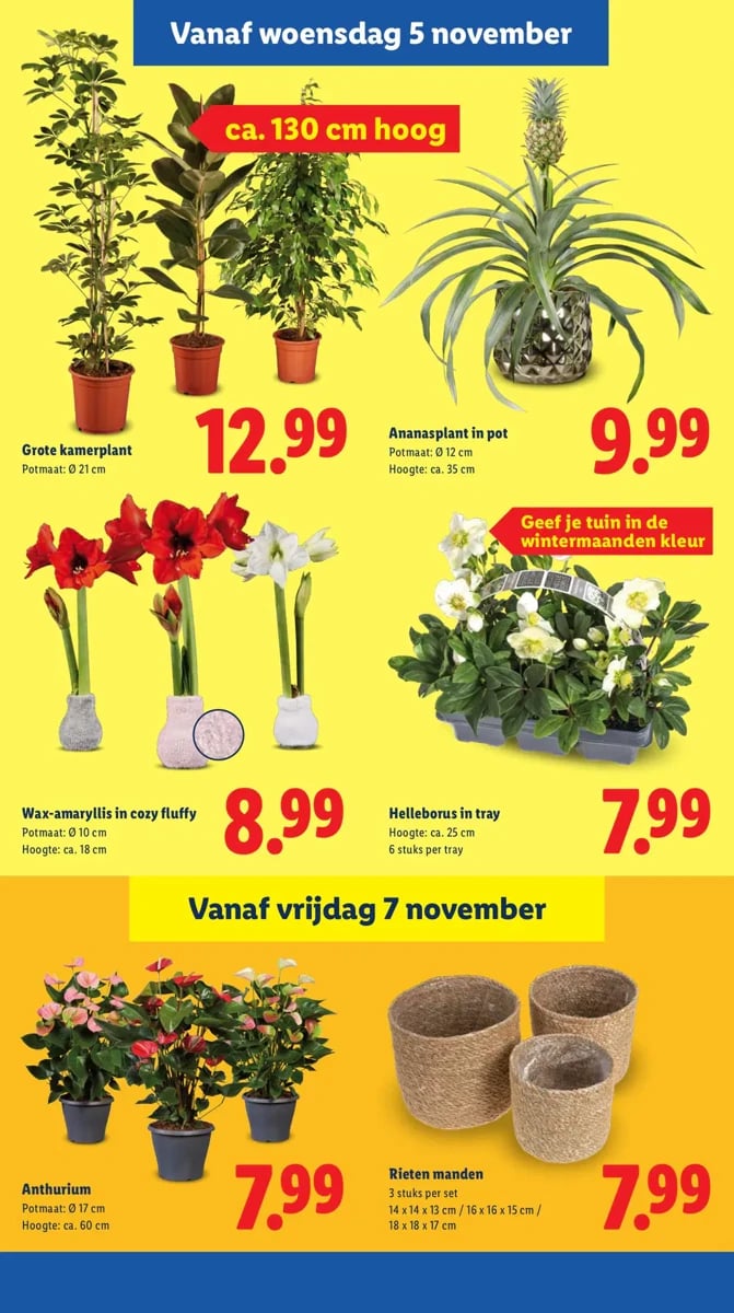Lidl folder – pagina 21