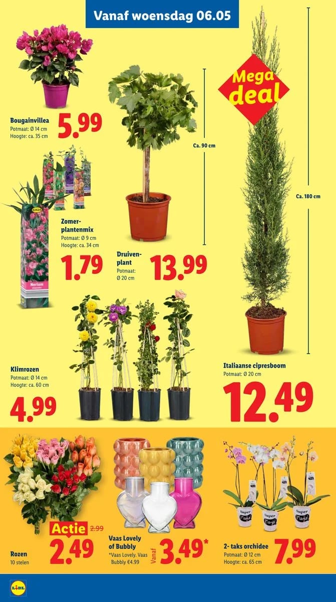 Lidl folder – pagina 25