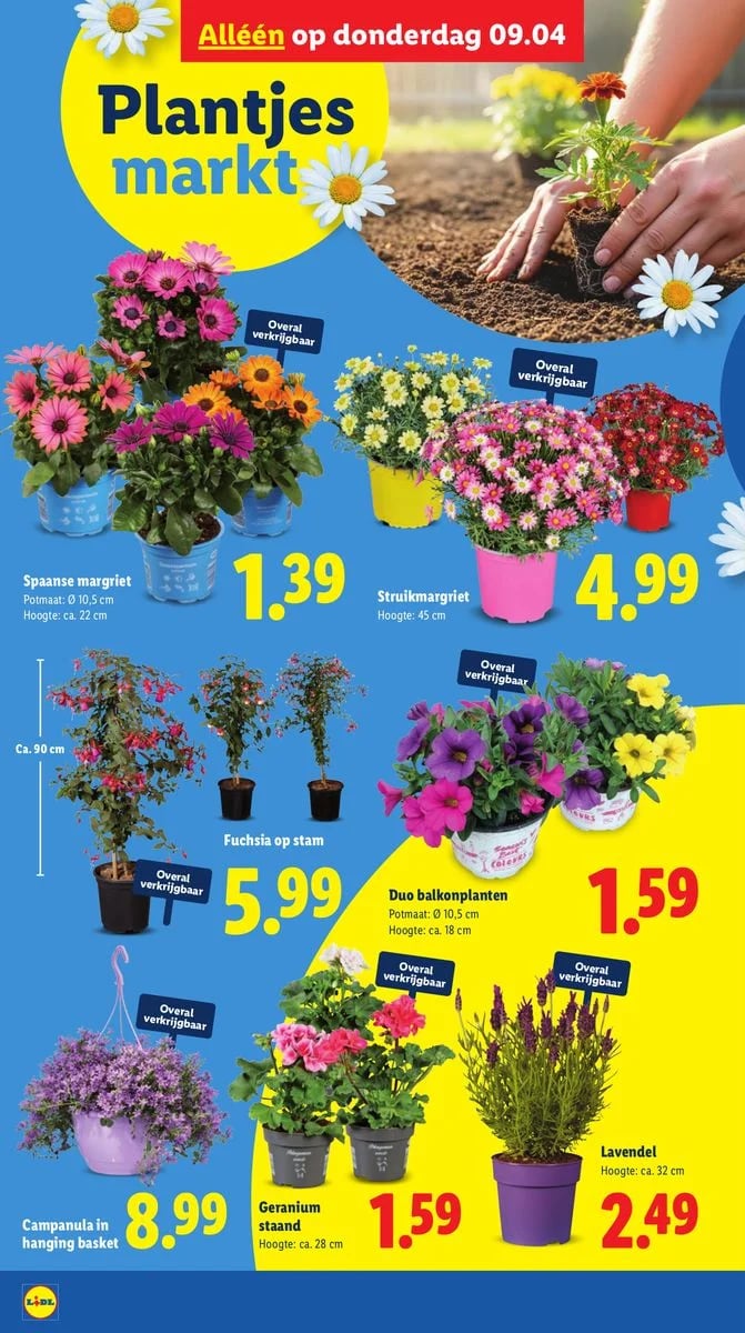Lidl folder – pagina 35