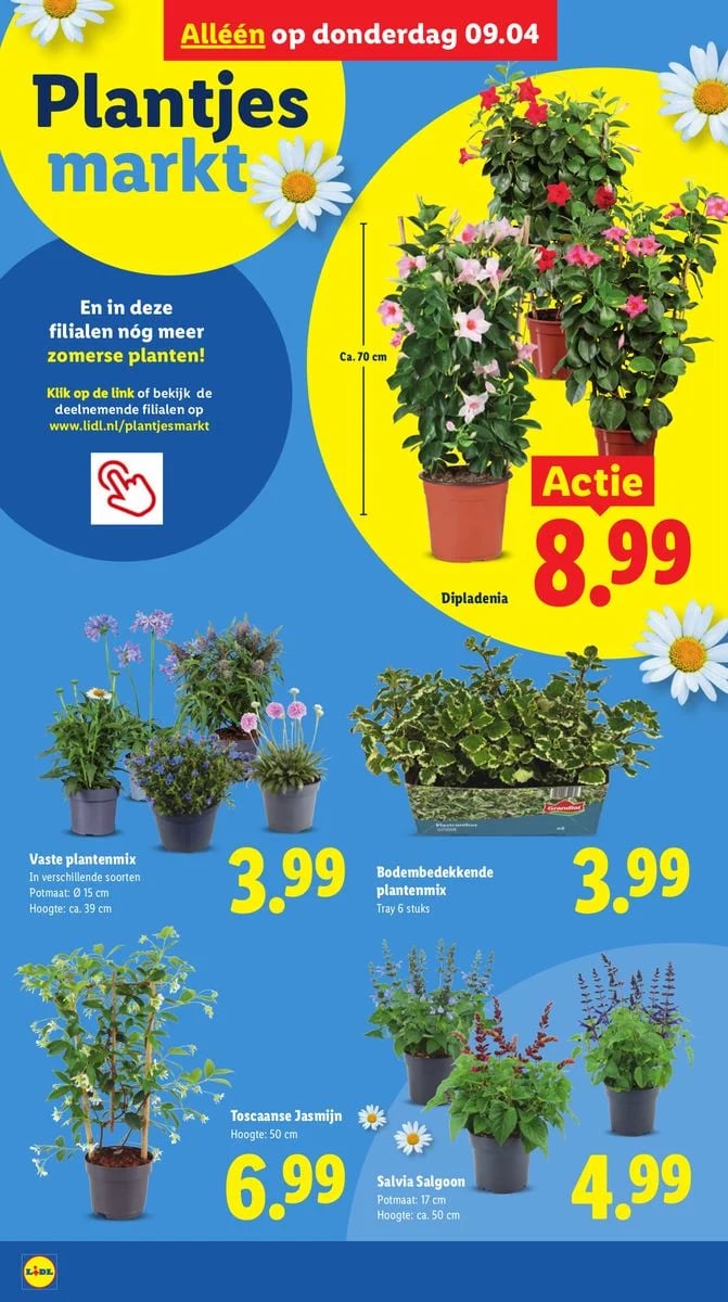 Lidl folder – pagina 37