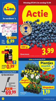 Perkplantjes Tray 10 stuks aanbieding bij Lidl – geldig van 09.04.2026 t/m 09.04.2026