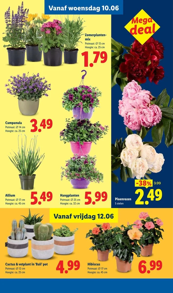 Lidl folder – pagina 25