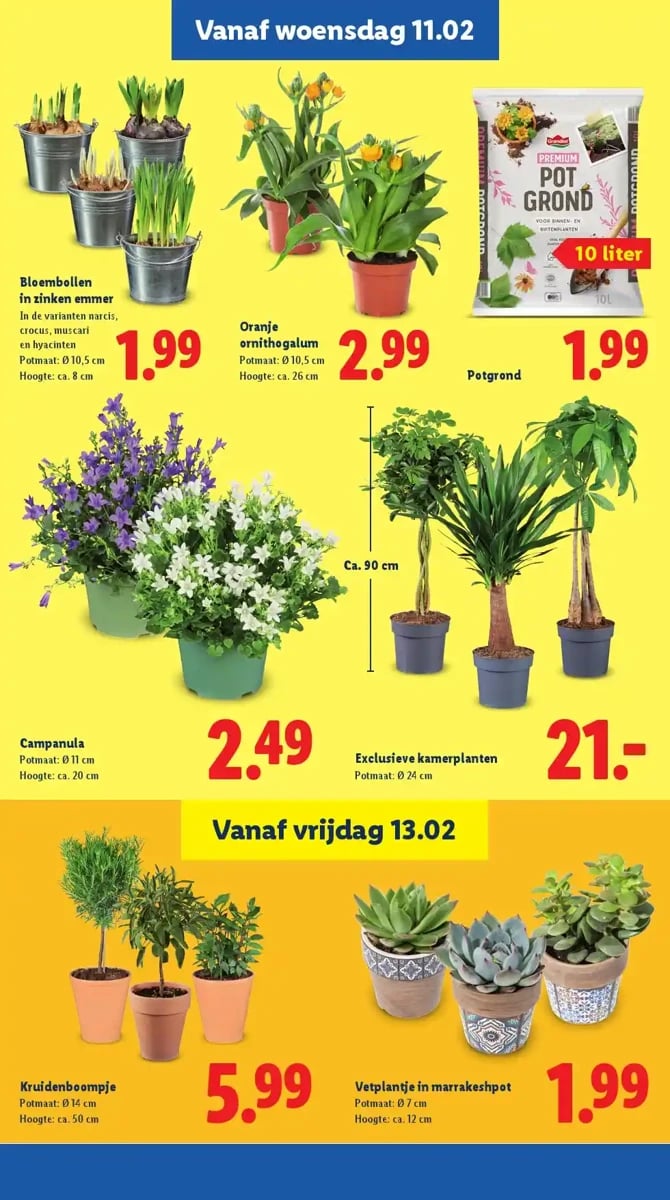 Lidl folder – pagina 15