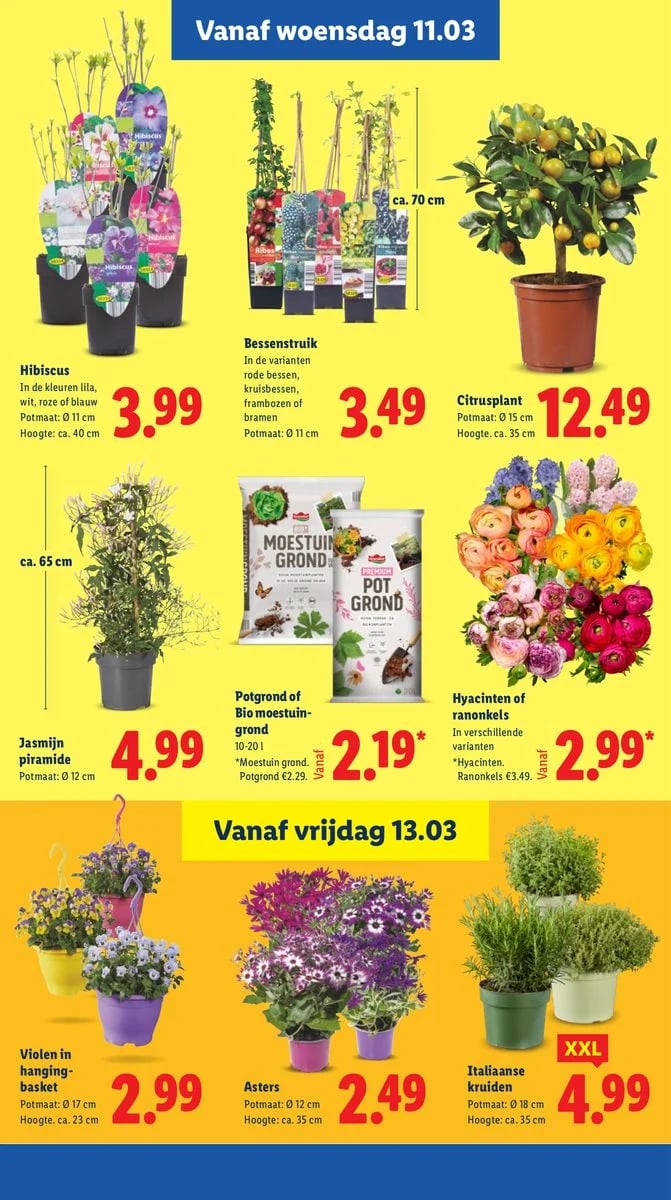 Lidl folder – pagina 18